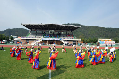 2015 제31회 용화축전 개회식 의 사진