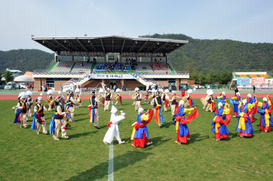 2015 제31회 용화축전 개회식 의 사진