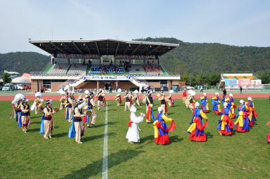 2015 제31회 용화축전 개회식 의 사진