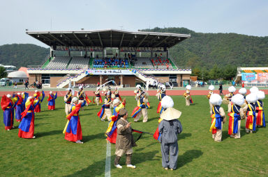 2015 제31회 용화축전 개회식 의 사진