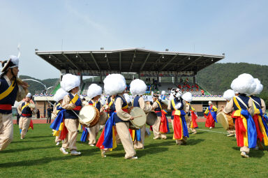 2015 제31회 용화축전 개회식 의 사진