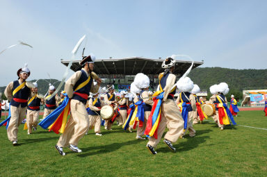 2015 제31회 용화축전 개회식 의 사진