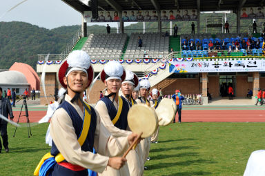 2015 제31회 용화축전 개회식 의 사진