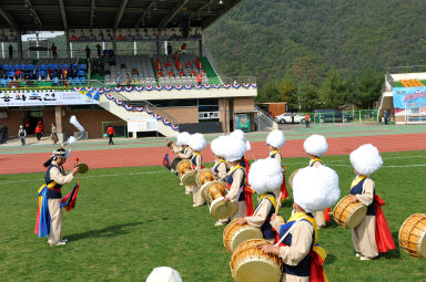 2015 제31회 용화축전 개회식 의 사진