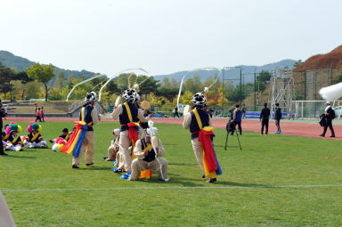 2015 제31회 용화축전 개회식 의 사진