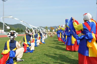 2015 제31회 용화축전 개회식 의 사진