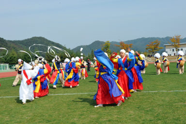 2015 제31회 용화축전 개회식 의 사진