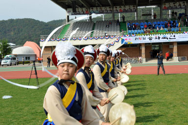 2015 제31회 용화축전 개회식 의 사진