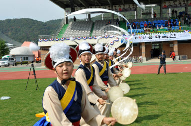 2015 제31회 용화축전 개회식 의 사진