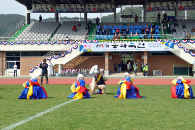 2015 제31회 용화축전 개회식 의 사진