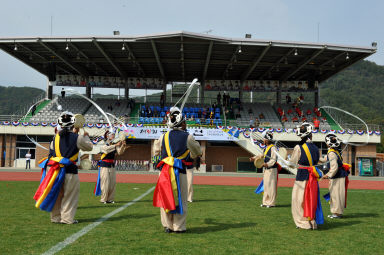 2015 제31회 용화축전 개회식 의 사진