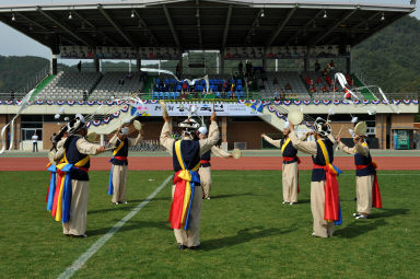 2015 제31회 용화축전 개회식 의 사진