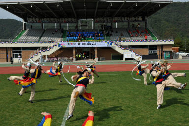 2015 제31회 용화축전 개회식 의 사진