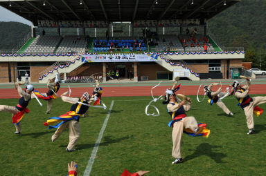 2015 제31회 용화축전 개회식 의 사진