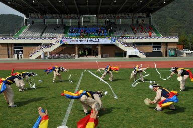 2015 제31회 용화축전 개회식 의 사진