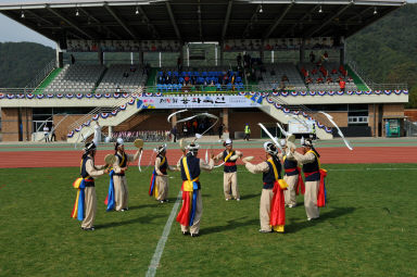 2015 제31회 용화축전 개회식 의 사진