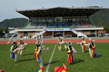 2015 제31회 용화축전 개회식 의 사진