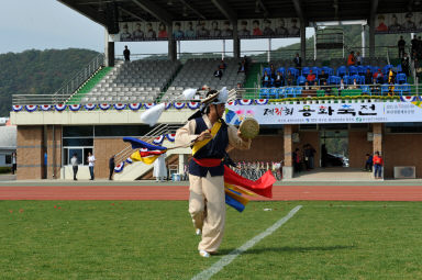 2015 제31회 용화축전 개회식 의 사진