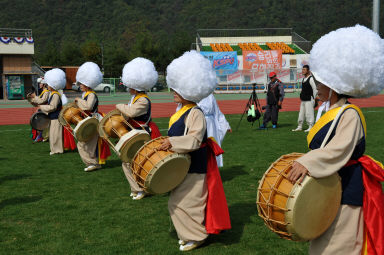 2015 제31회 용화축전 개회식 의 사진