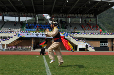 2015 제31회 용화축전 개회식 의 사진