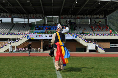 2015 제31회 용화축전 개회식 의 사진