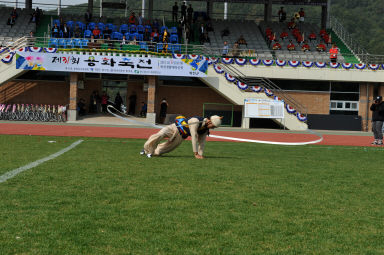 2015 제31회 용화축전 개회식 의 사진