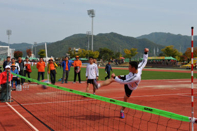 2015 제31회 용화축전 개회식 의 사진