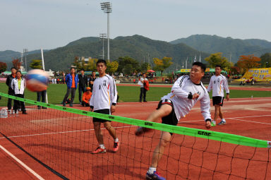 2015 제31회 용화축전 개회식 의 사진