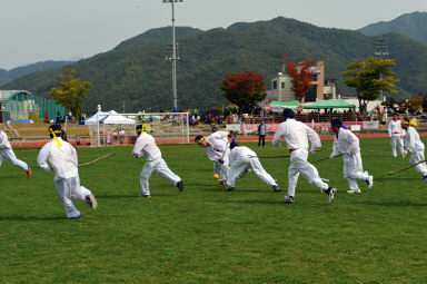 2015 제31회 용화축전 개회식 의 사진