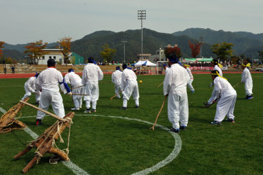 2015 제31회 용화축전 개회식 의 사진