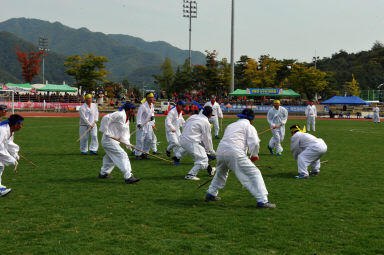 2015 제31회 용화축전 개회식 의 사진