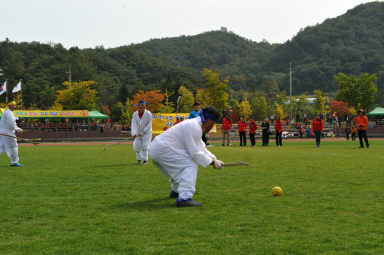 2015 제31회 용화축전 개회식 의 사진