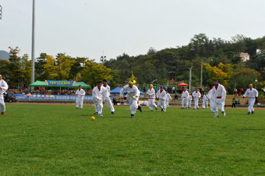 2015 제31회 용화축전 개회식 의 사진