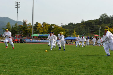 2015 제31회 용화축전 개회식 의 사진