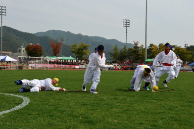 2015 제31회 용화축전 개회식 의 사진