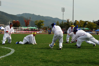 2015 제31회 용화축전 개회식 의 사진