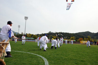 2015 제31회 용화축전 개회식 의 사진