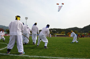 2015 제31회 용화축전 개회식 의 사진