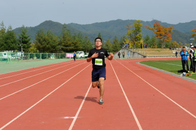 2015 제31회 용화축전 개회식 의 사진