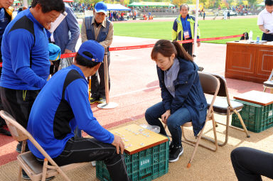 2015 제31회 용화축전 개회식 의 사진