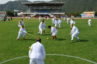 2015 제31회 용화축전 개회식 의 사진