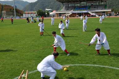 2015 제31회 용화축전 개회식 의 사진