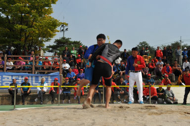 2015 제31회 용화축전 개회식 의 사진