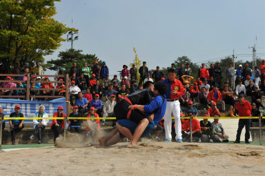 2015 제31회 용화축전 개회식 의 사진