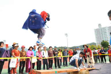 2015 제31회 용화축전 개회식 의 사진