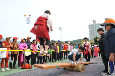 2015 제31회 용화축전 개회식 의 사진