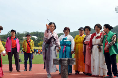 2015 제31회 용화축전 개회식 의 사진