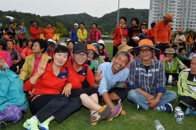 2015 제31회 용화축전 개회식 의 사진