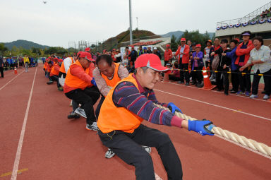 2015 제31회 용화축전 개회식 의 사진