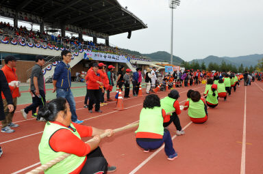 2015 제31회 용화축전 개회식 의 사진